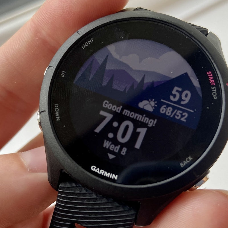 Garmin Forerunner 255 GPS Running Watch